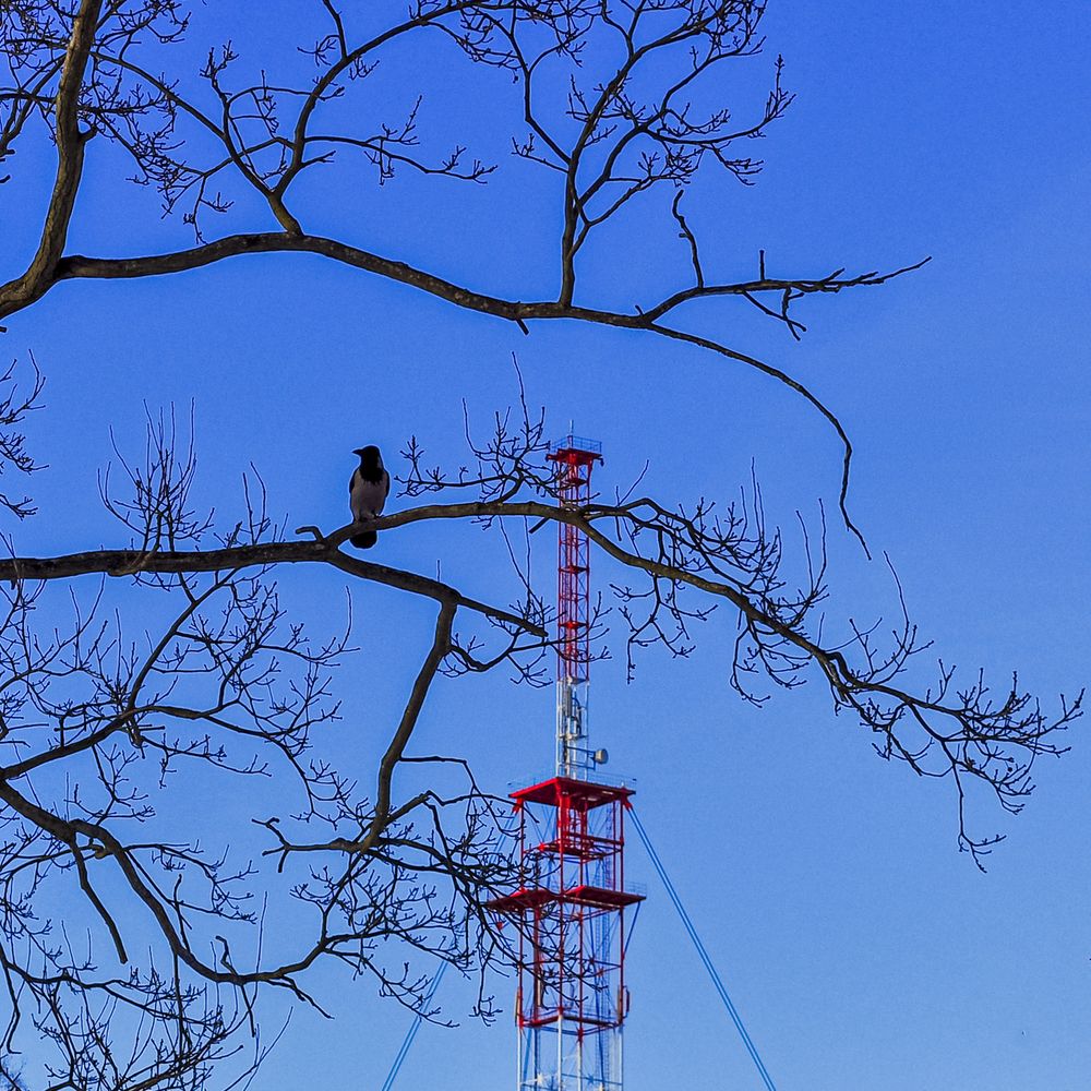 Ретранслятор