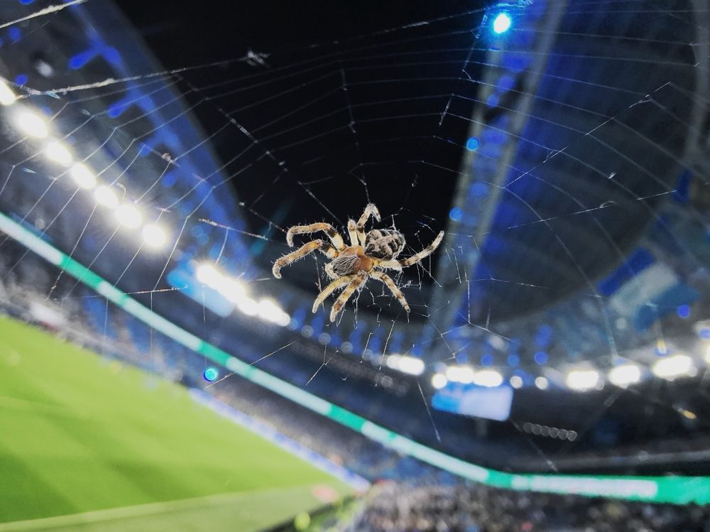 Photograph by Александр Раханский