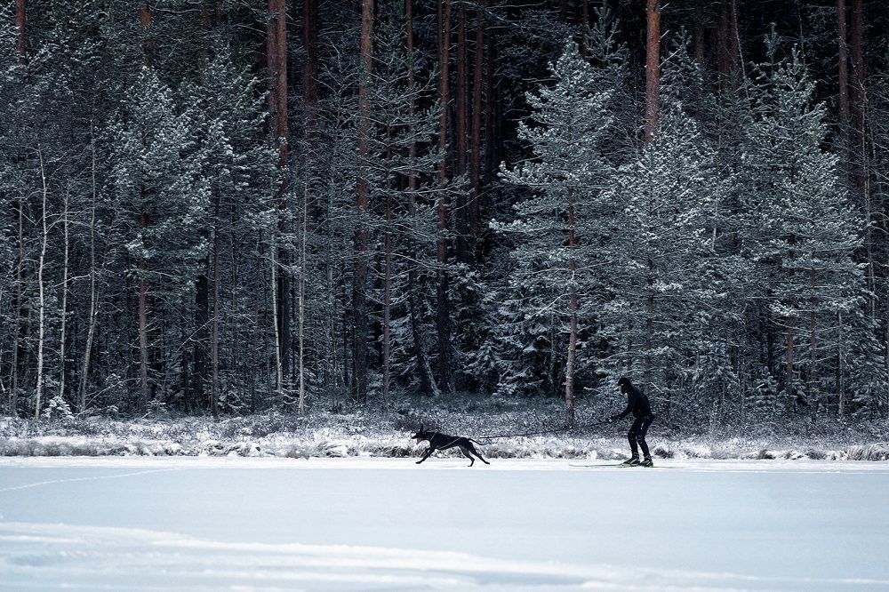Photograph by Сергей Федоров