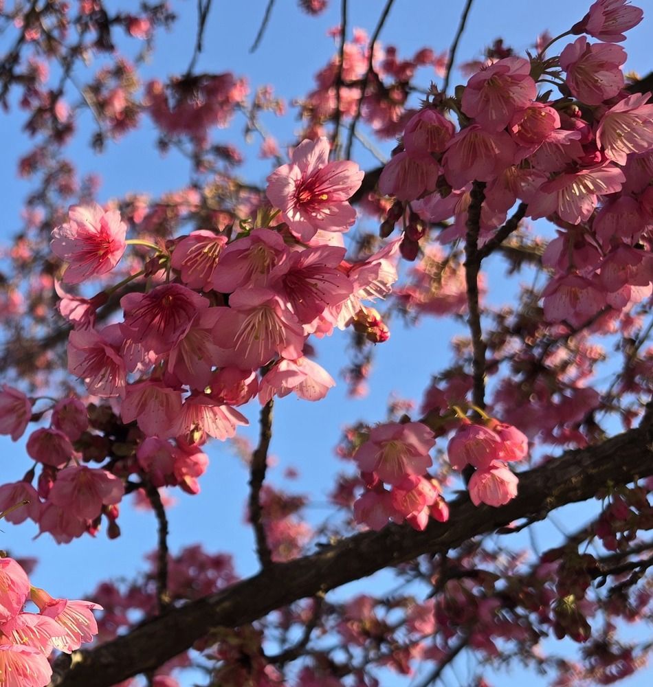 Photograph by Yulia Rotbach