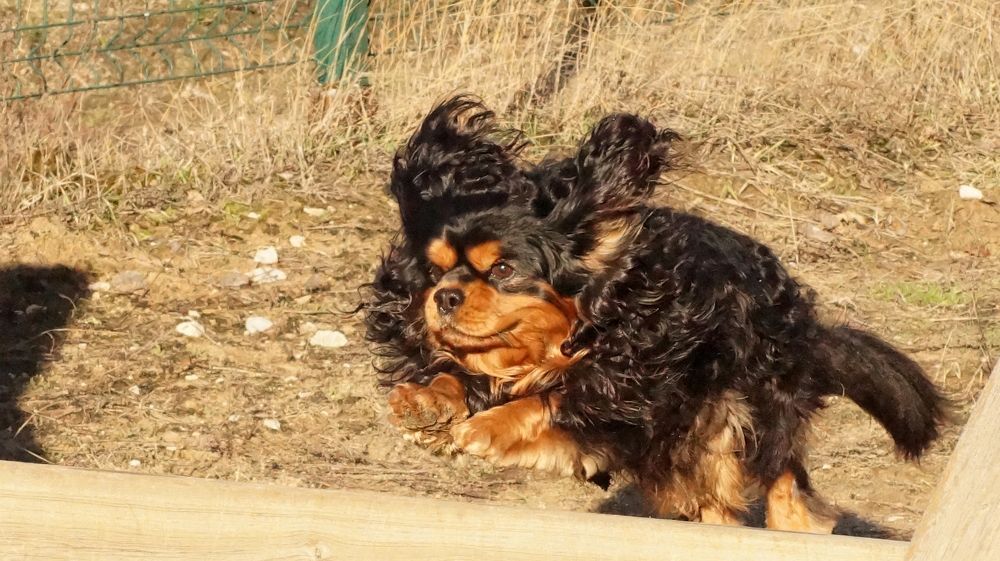 Photograph by Екатерина Молчанова