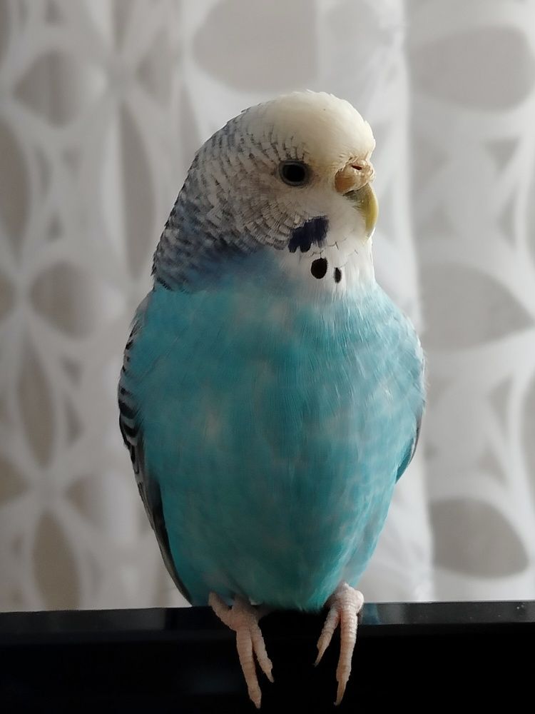 Photograph by Зульфия Набиуллина