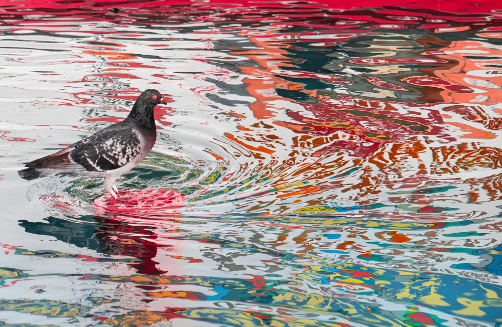 Photograph by Ольга Мусиенко