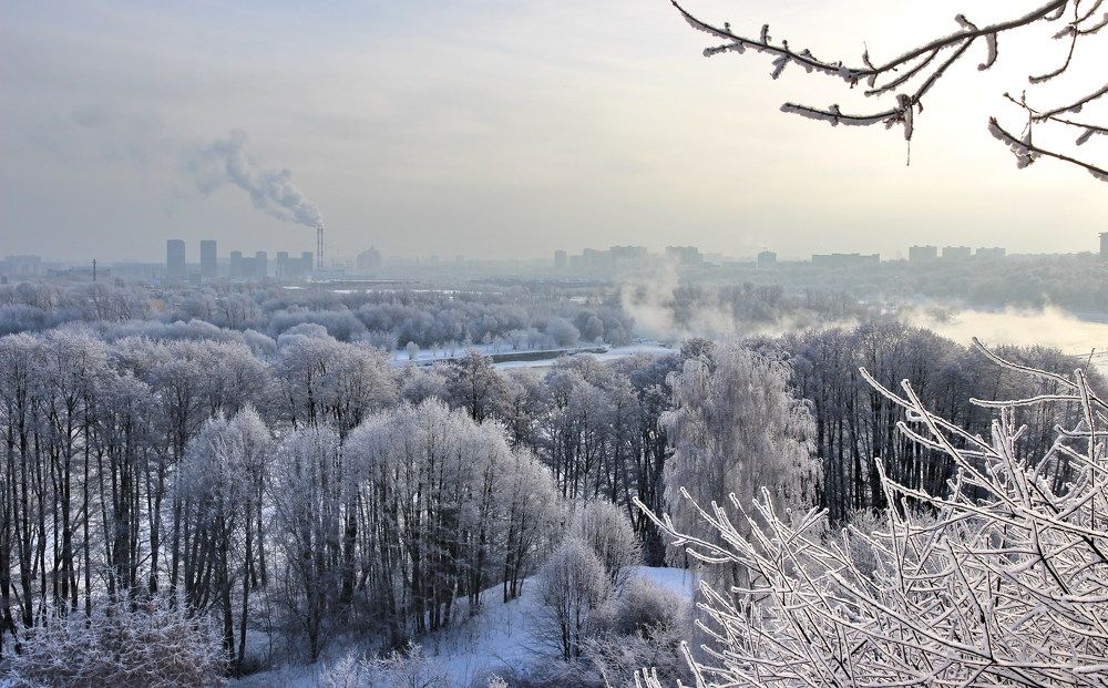 Морозный день