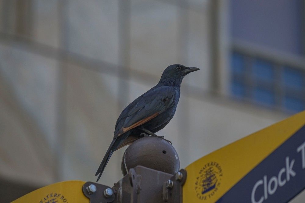 Photograph by Алексей Логинов