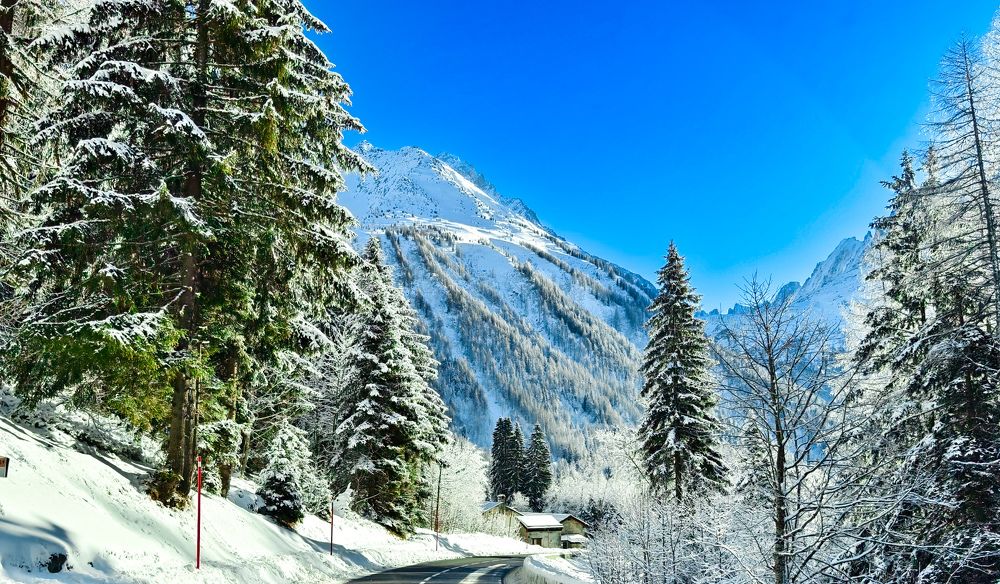 Photograph by Светлана Мишенина