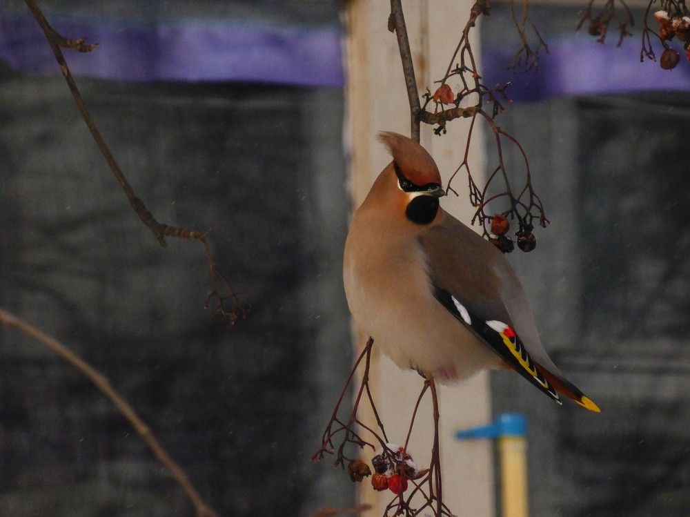 Photograph by Алексей Логинов