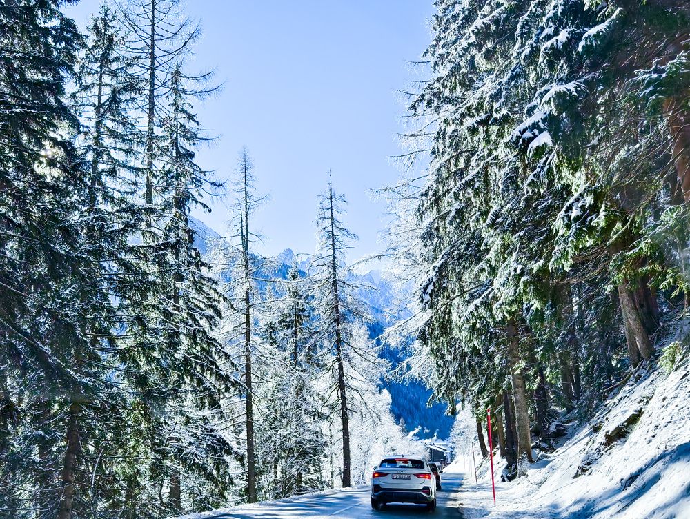 Photograph by Светлана Мишенина