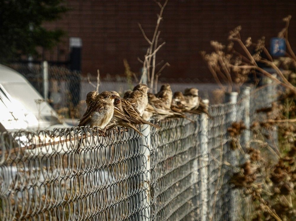 Photograph by Алексей Логинов