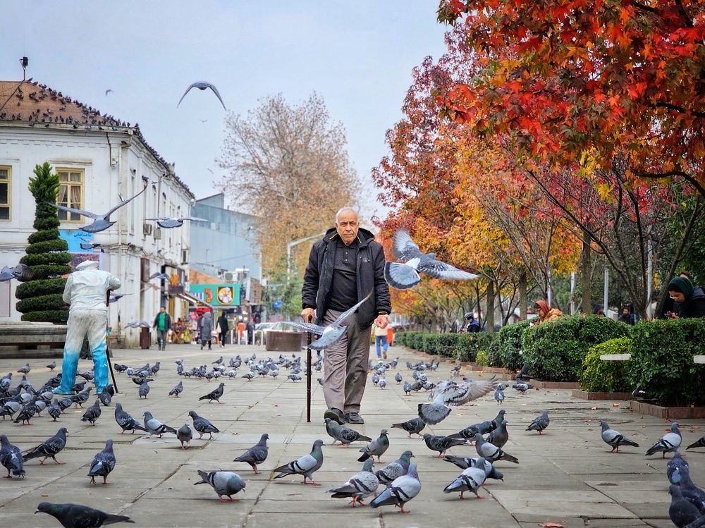 Фотография автора Samane Naji