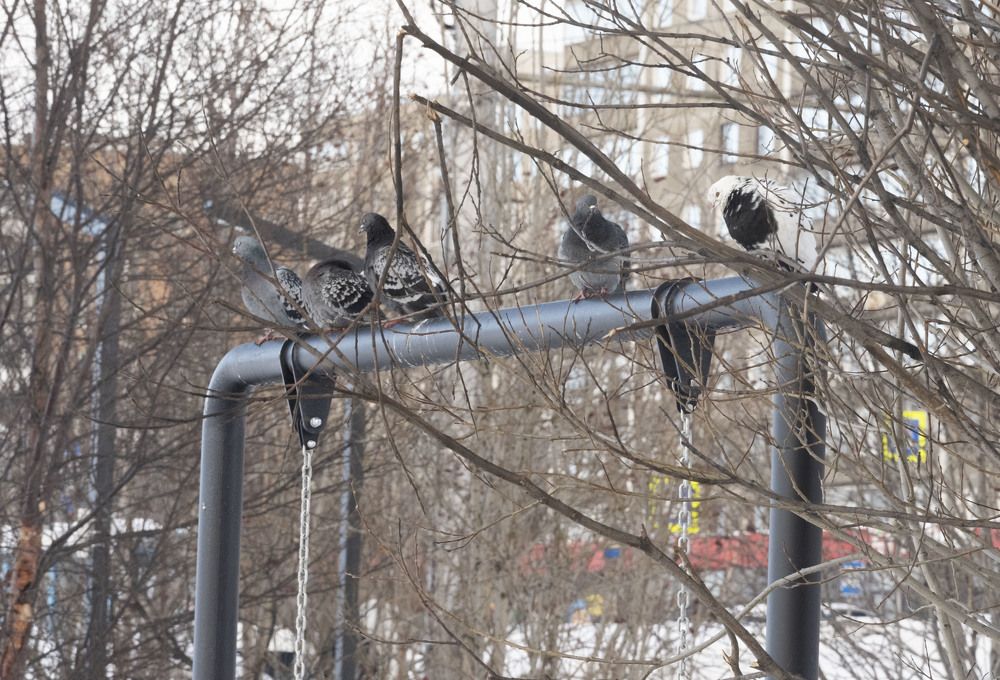 Photograph by Екатерина @Arigata