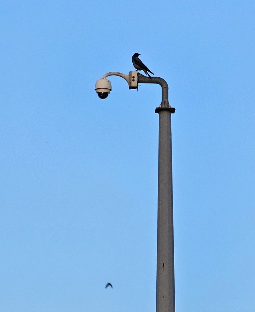 Фотография автора Samane Naji