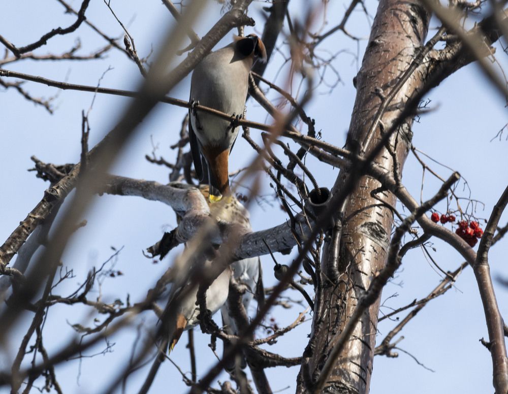 Photograph by Екатерина @Arigata