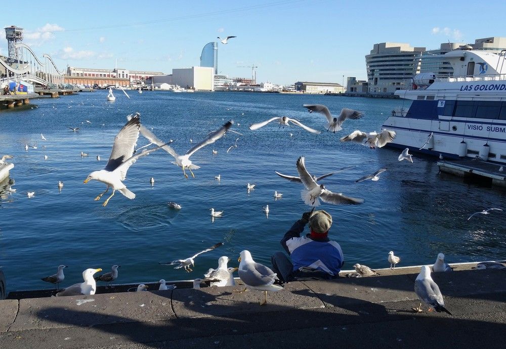 Photograph by Марина Раткун