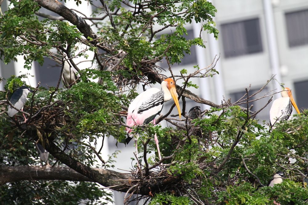 Photograph by HEE SENG FOO