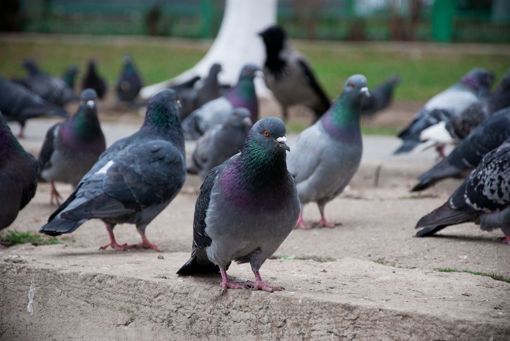 Photograph by Екатерина @Arigata