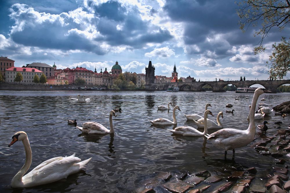 Photograph by Светлана Алексеева