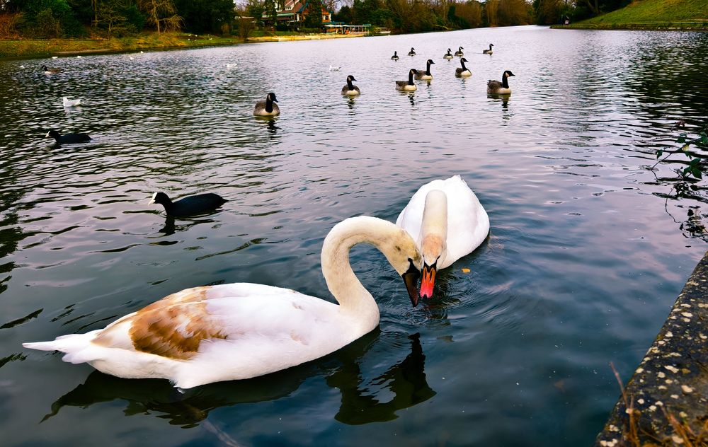 Photograph by Светлана Мишенина