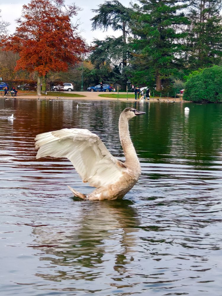 Photograph by Светлана Мишенина