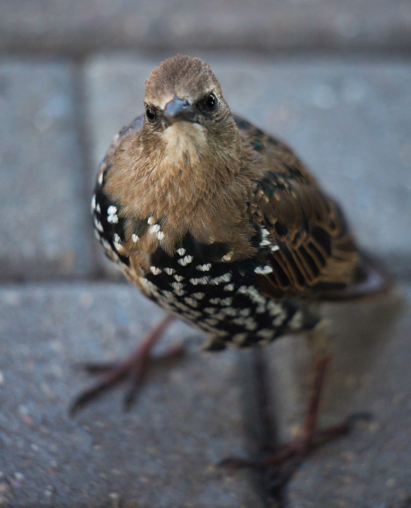 Photograph by Светлана Алексеева