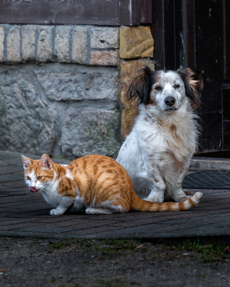 Photograph by Роман Данильчик