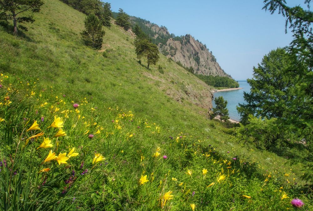 Photograph by Ольга Литвинцева