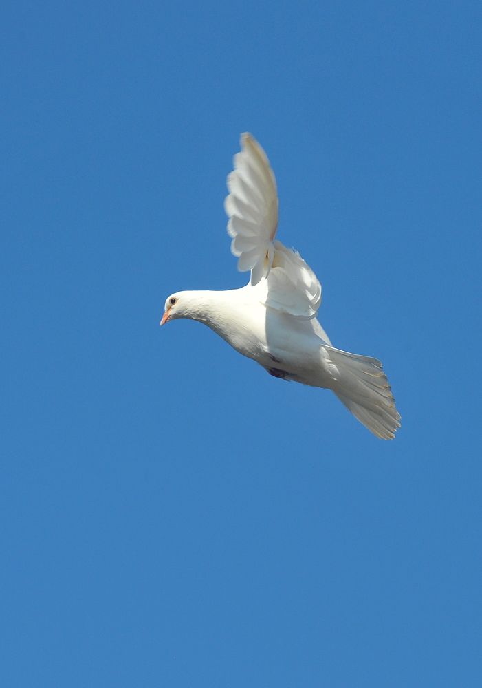 Photograph by Алексей Volg