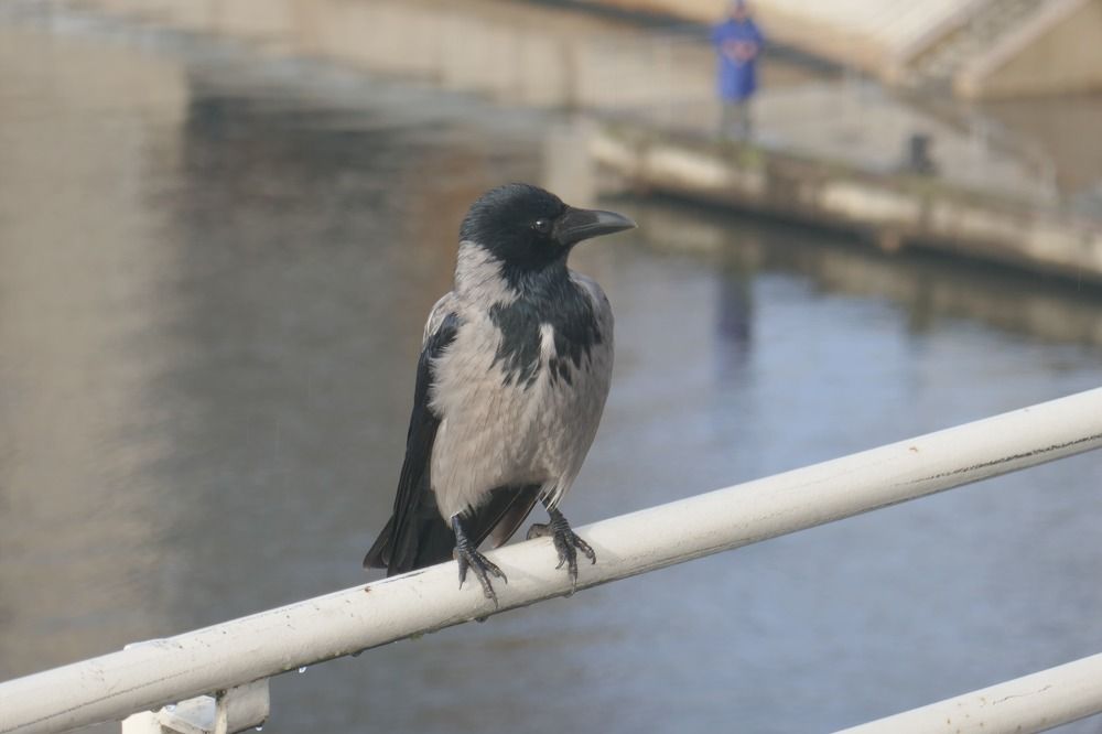 Photograph by Антон