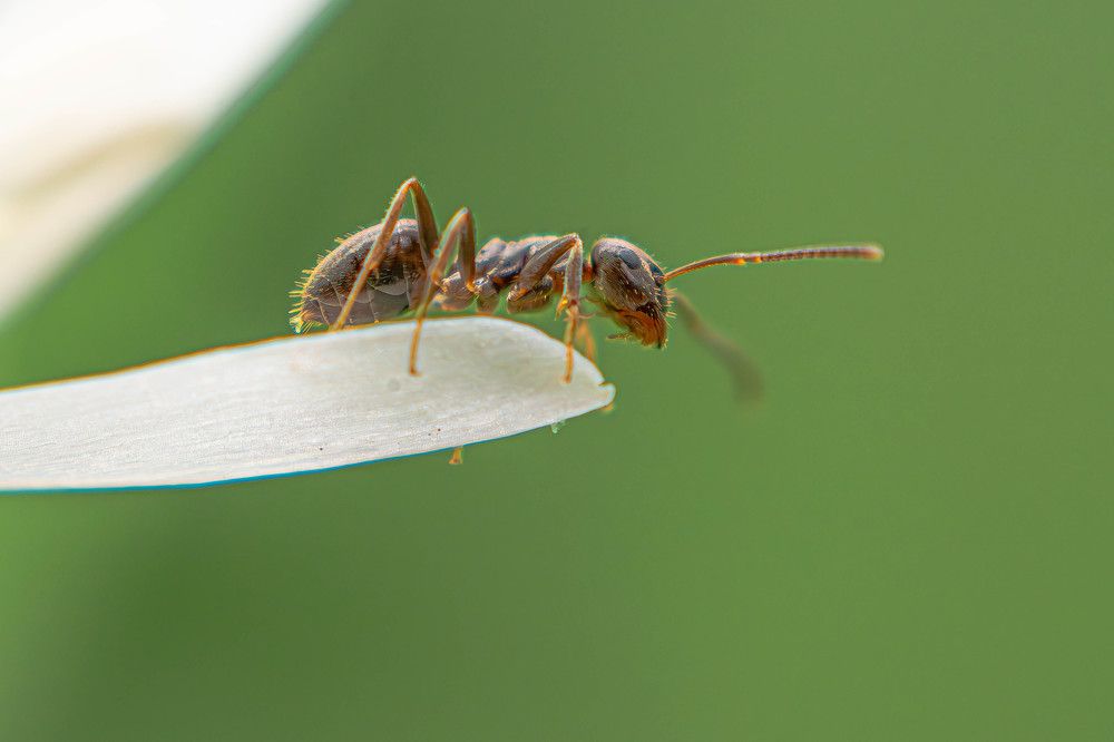 Photograph by Marianna Klein