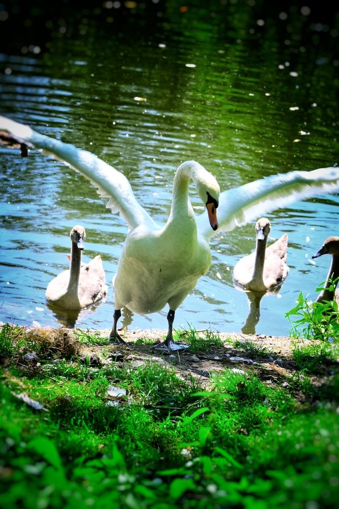 Photograph by Stella Szpinek