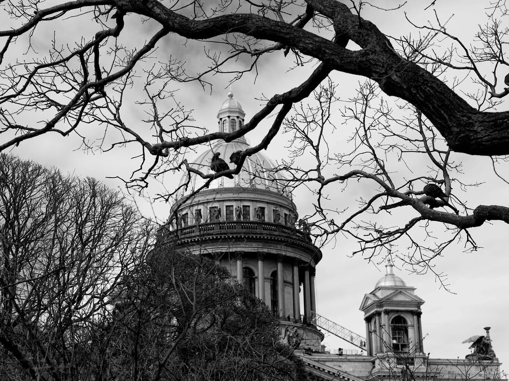 Photograph by Каюков Артур