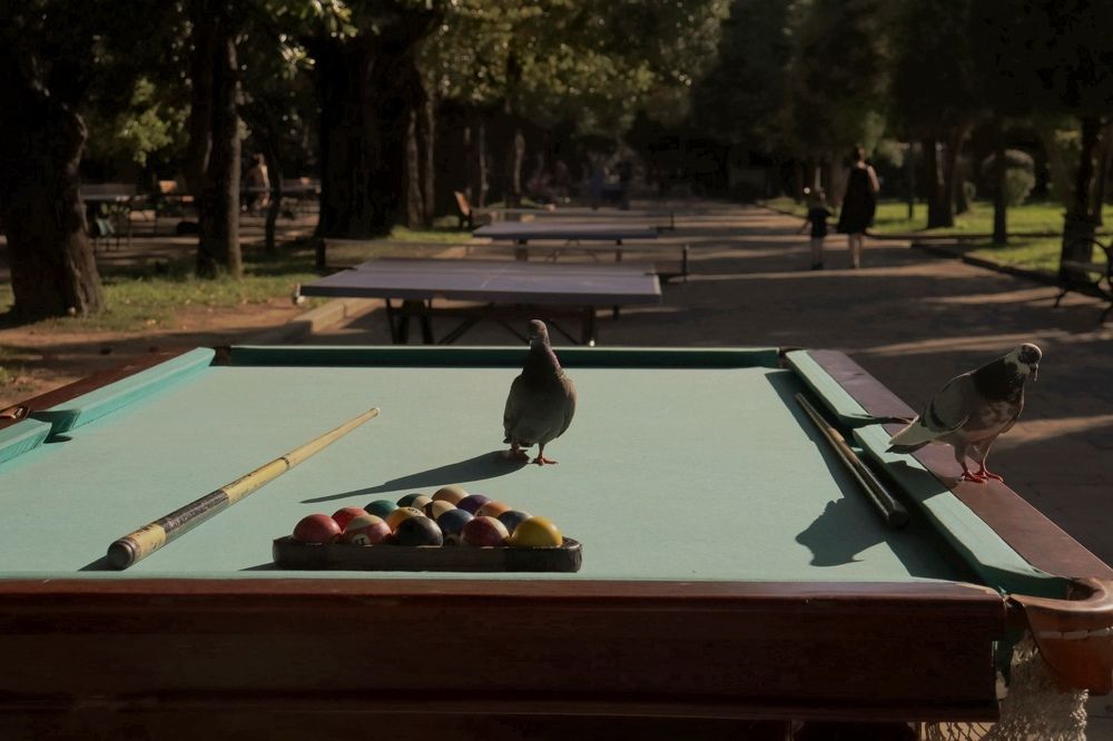 Фотография автора Алиса