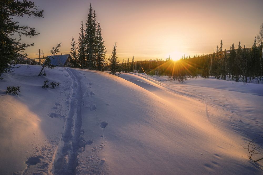 Фотография автора Татьяна Добровольская