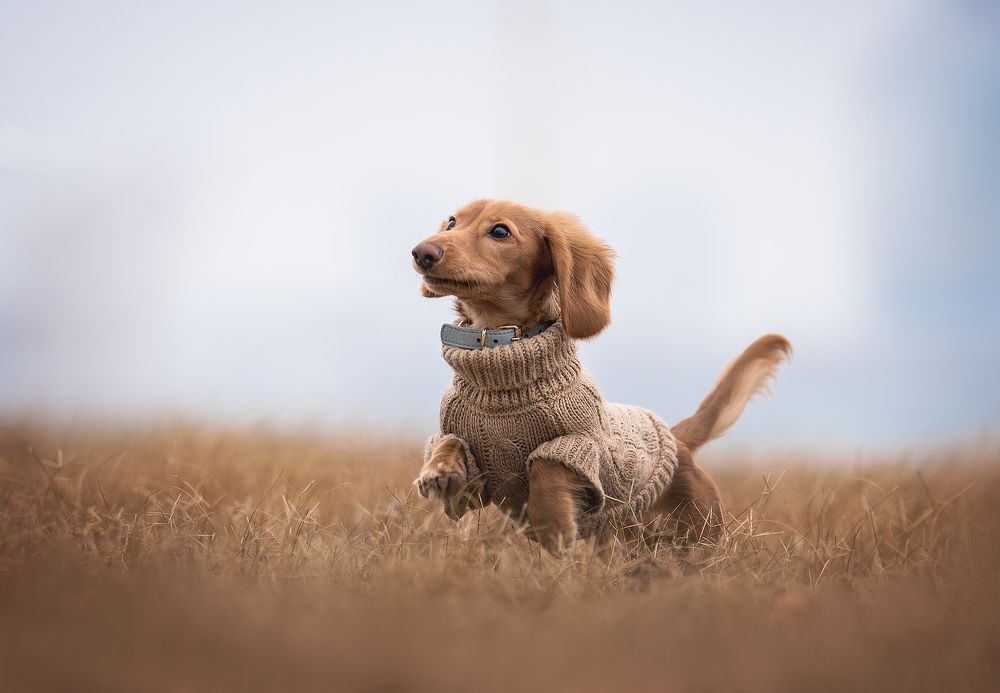 Фотография автора Anna Darahan