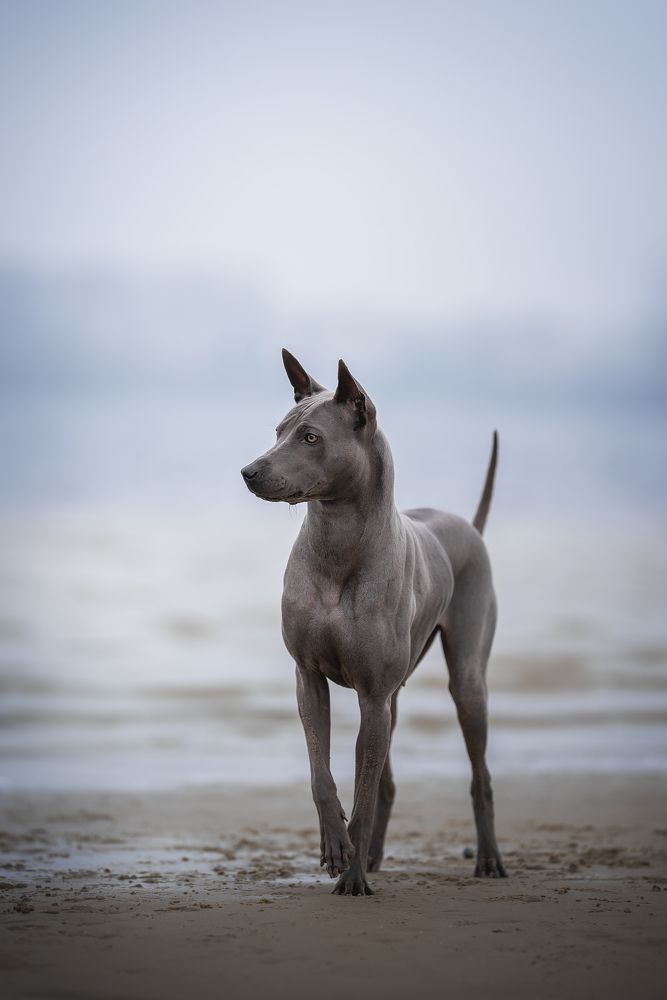 Фотография автора Anna Darahan