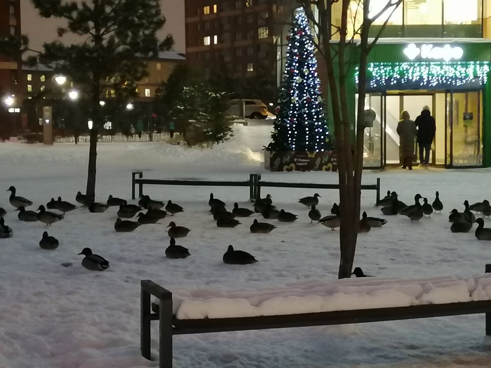 Photograph by Наталия