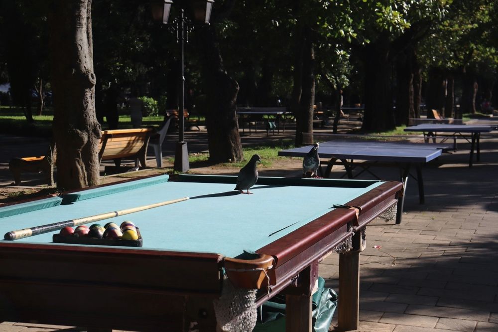 Фотография автора Алиса