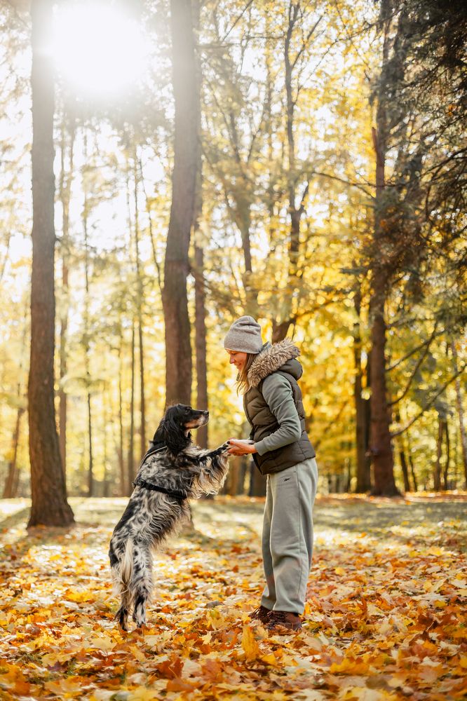 Photograph by Татьяна Степанова