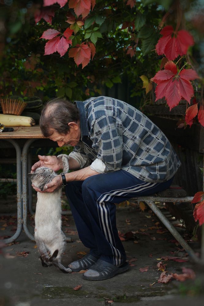 Photograph by надежда максимова