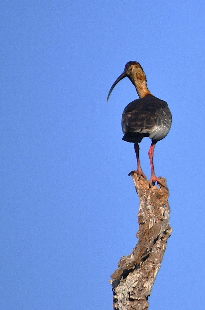 Photograph by Marzio Fattorini