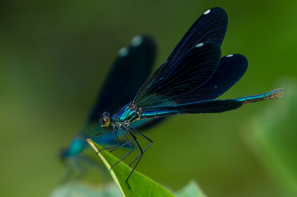 Photograph by Борис Лишневский