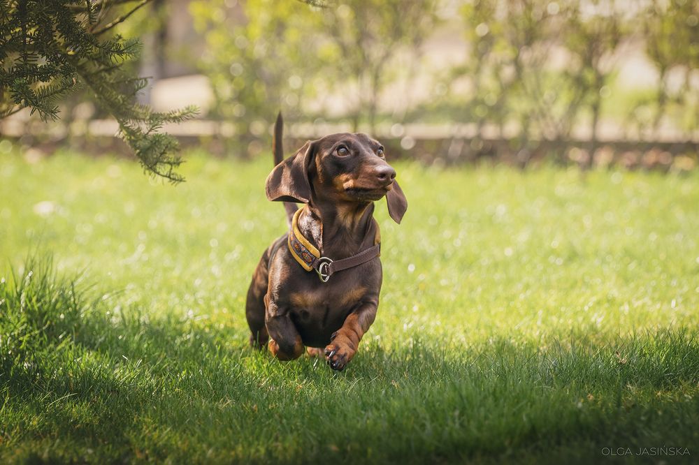 Photograph by Jasińska Olga