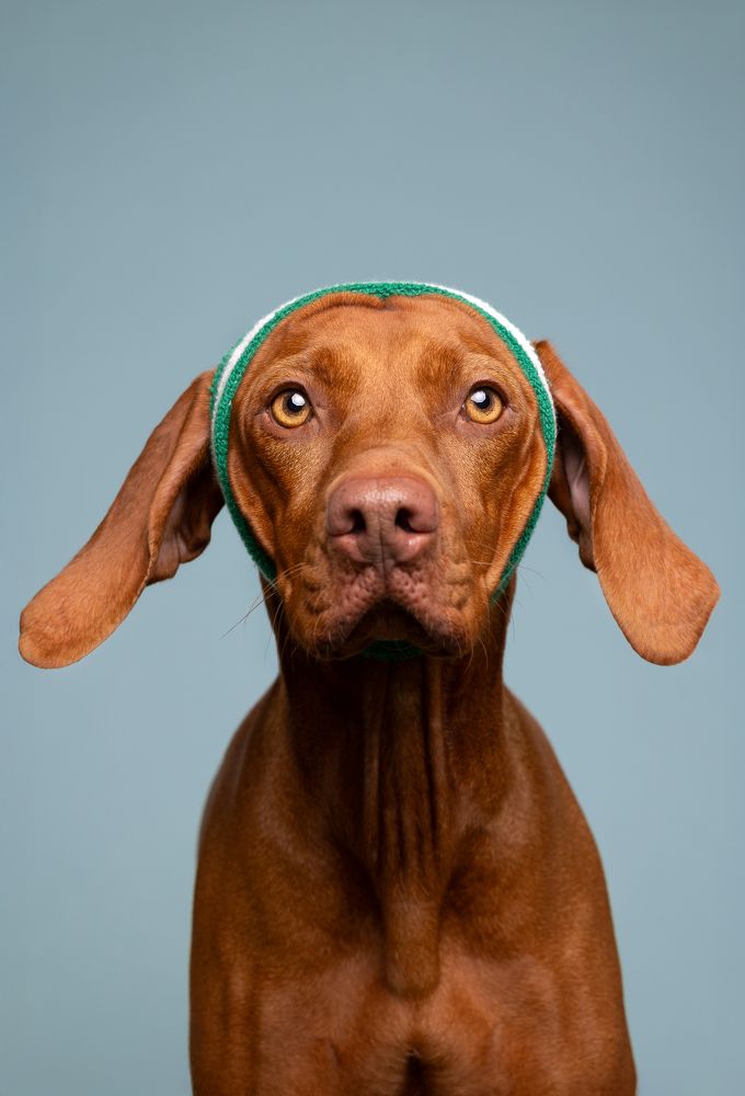 Photograph by Daniela Schnabel-Sahm