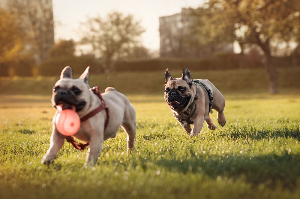 Photograph by Jasińska Olga