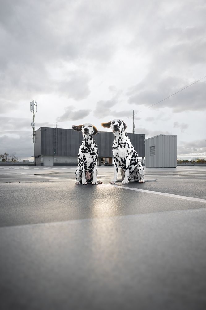 Photograph by Daniela Schnabel-Sahm