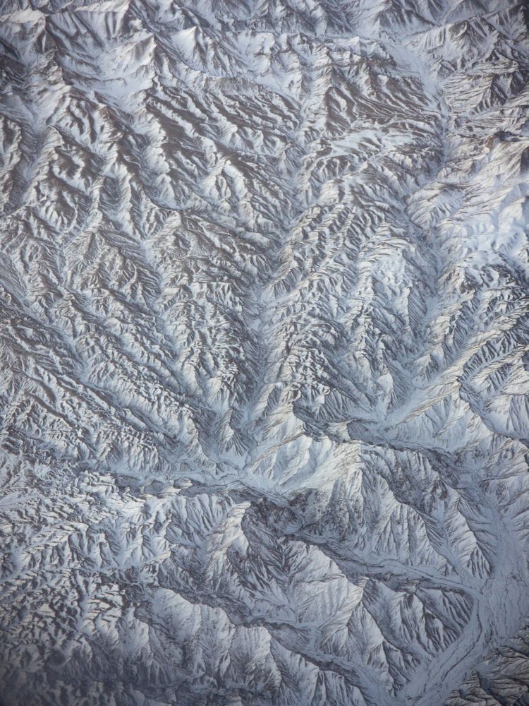 Photograph by Алина Орлова