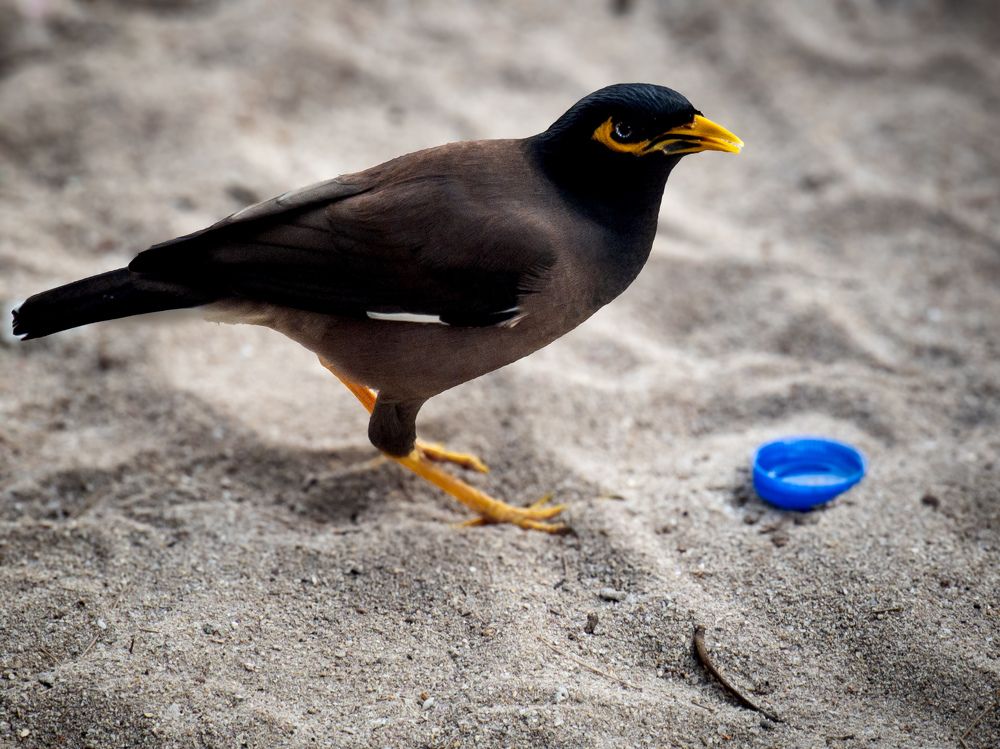 Photograph by Алина Орлова