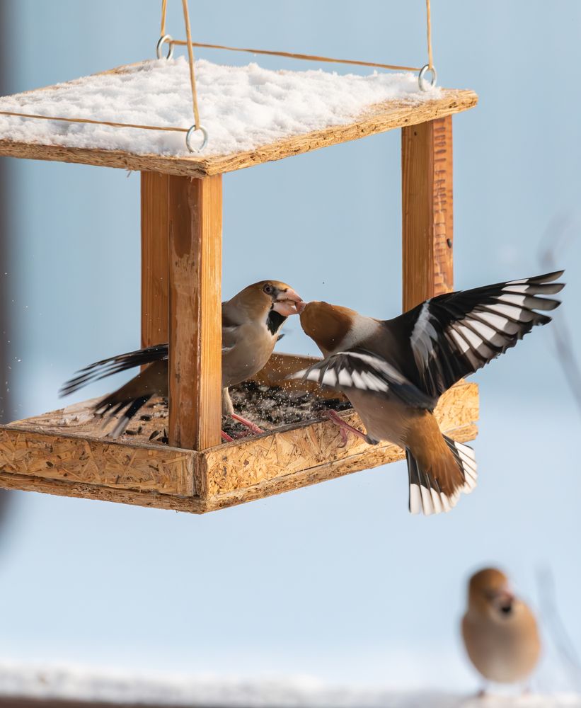 Photograph by Альварис Сукманюк