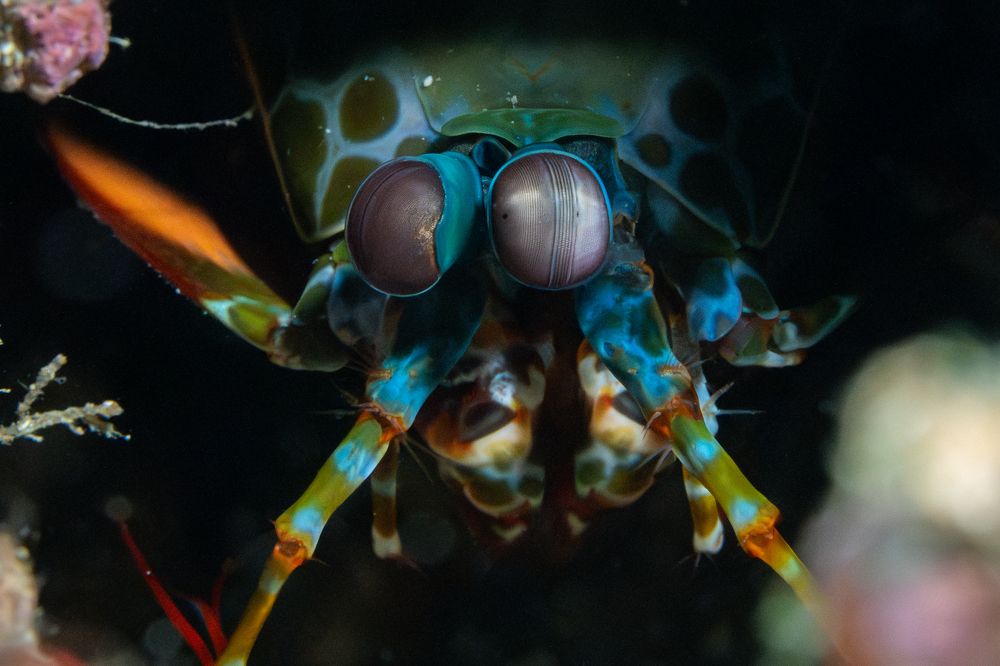 Photograph by Helena Lemos