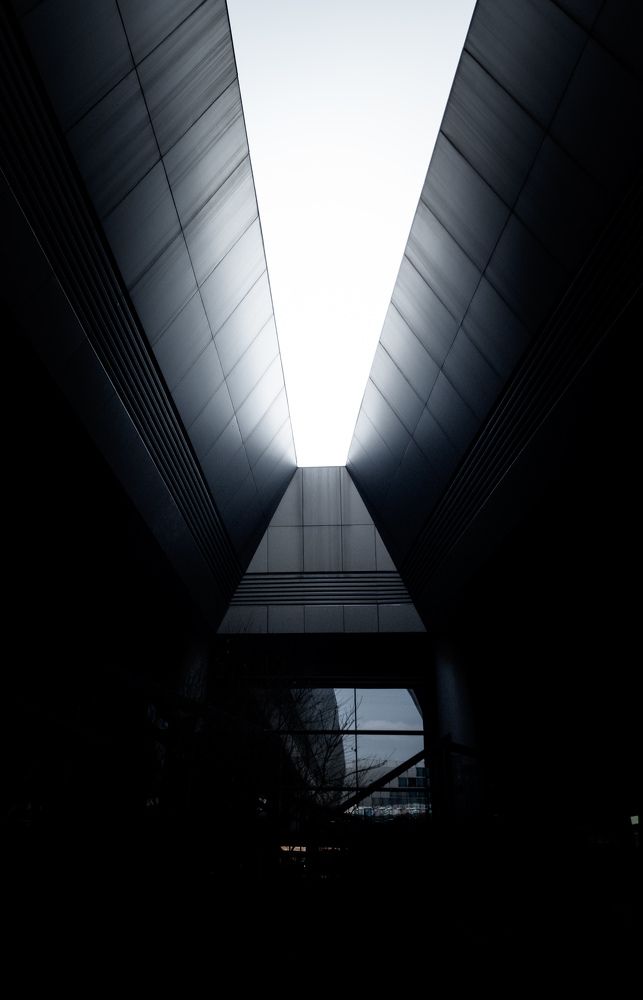 Photograph by Алина Орлова